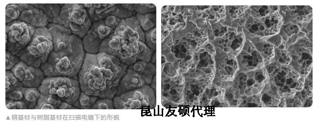 包头蔡司包头扫描电镜